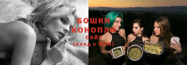 прущая мука Вяземский