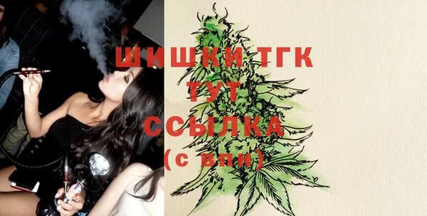 прущая мука Вяземский