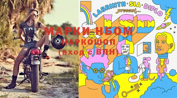 спайс Вязьма