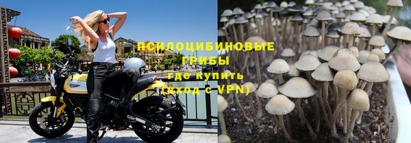 прущая мука Вяземский
