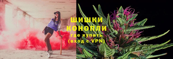 прущая мука Вяземский